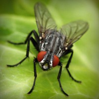 /album/www-sihirbazpalyaco-com/photolia-a01-jpg/