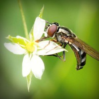 /album/www-sihirbazpalyaco-com/photolia-a02-jpg/