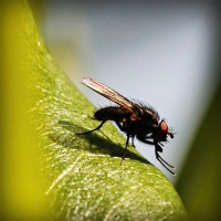 /album/www-sihirbazpalyaco-com/photolia-a04-jpg/