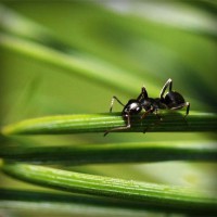 /album/www-sihirbazpalyaco-com/photolia-a05-jpg/