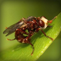 /album/www-sihirbazpalyaco-com/photolia-a06-jpg/