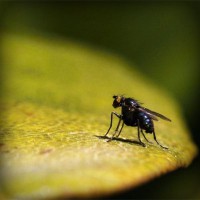 /album/www-sihirbazpalyaco-com/photolia-a07-jpg/