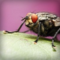 /album/www-sihirbazpalyaco-com/photolia-a08-jpg/